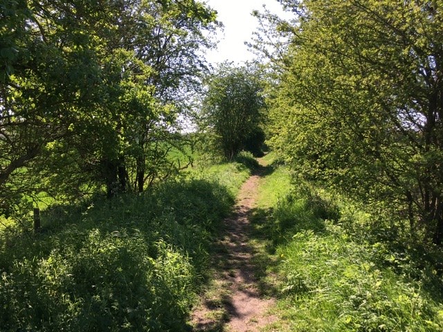 Path back into East Hagbourne