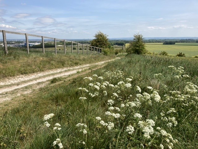 Looking from the Downs towards Chilton