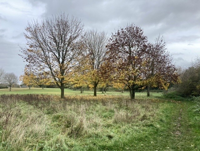 Mowbray Field Nature Reserve