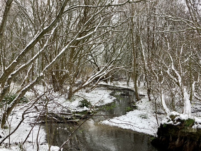 Mowbray Field in winter, Didcot