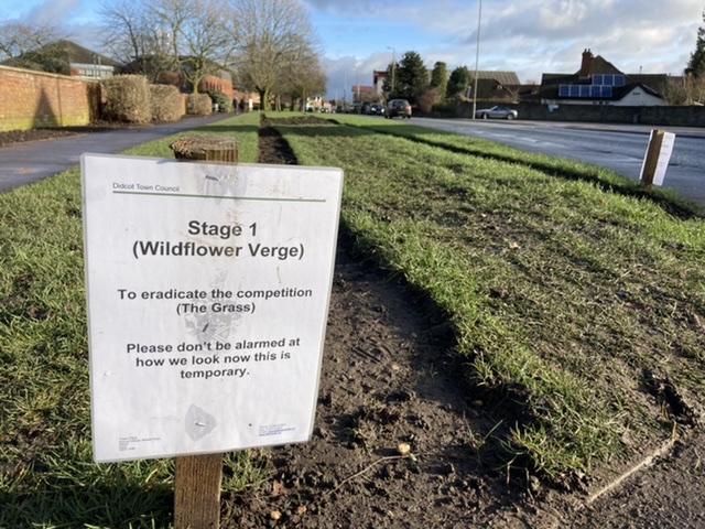 Didcot Town Council wildflower verge January 2021